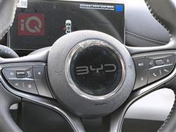 بي واي دي سيل 06 DM-i